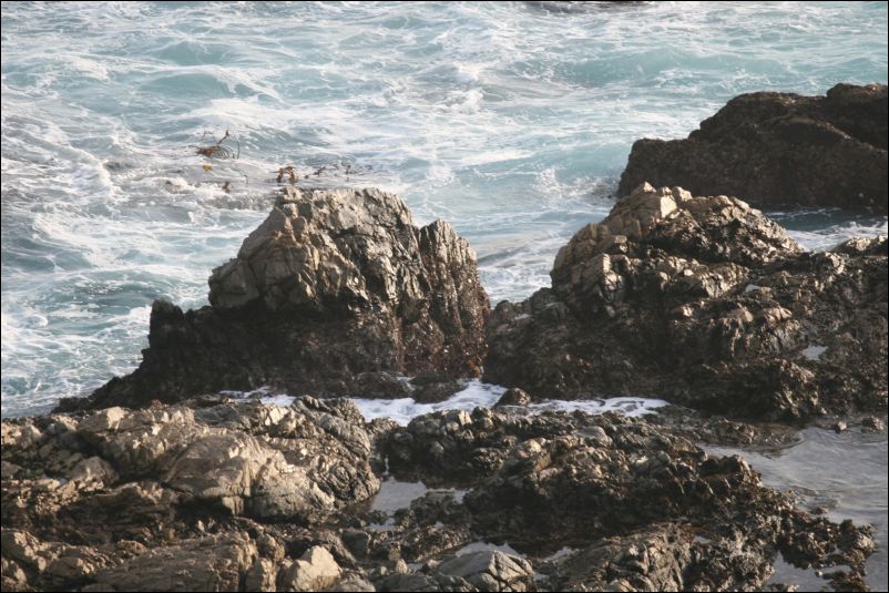 IMG_2138
