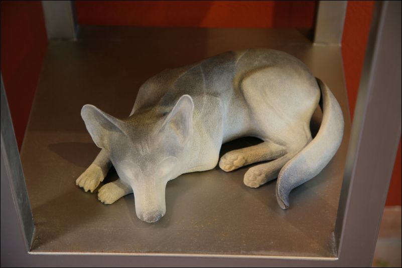 wolf