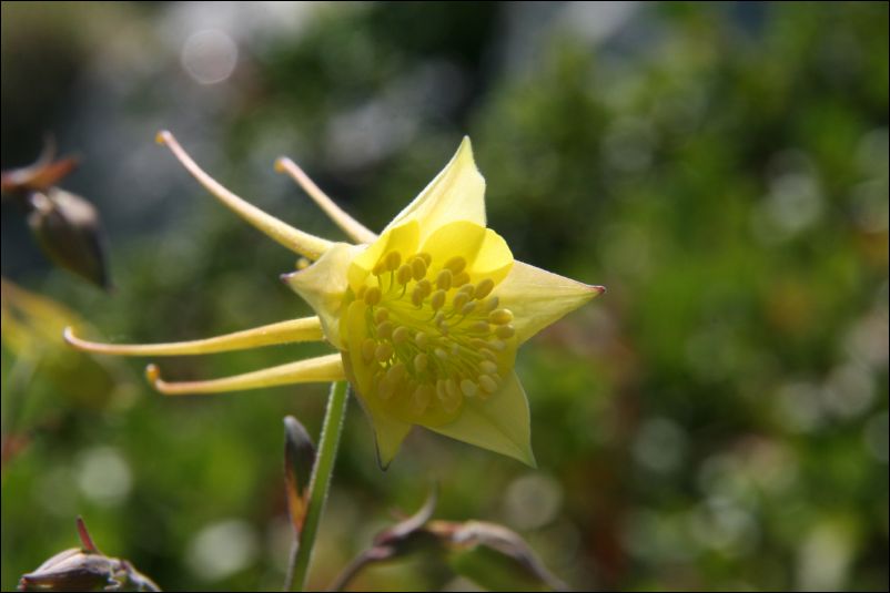 IMG_9696